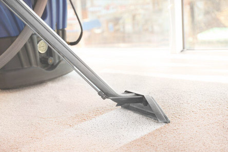 Carpet Cleaners Winchester