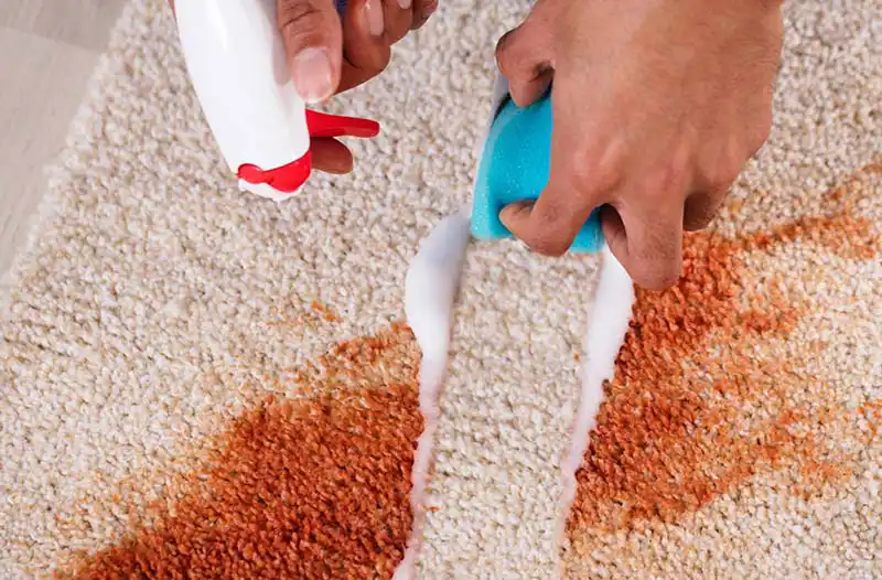 Cleaning a stain from a carpet