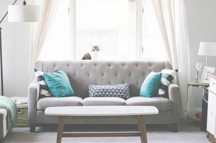 Upholstery Cleaning
